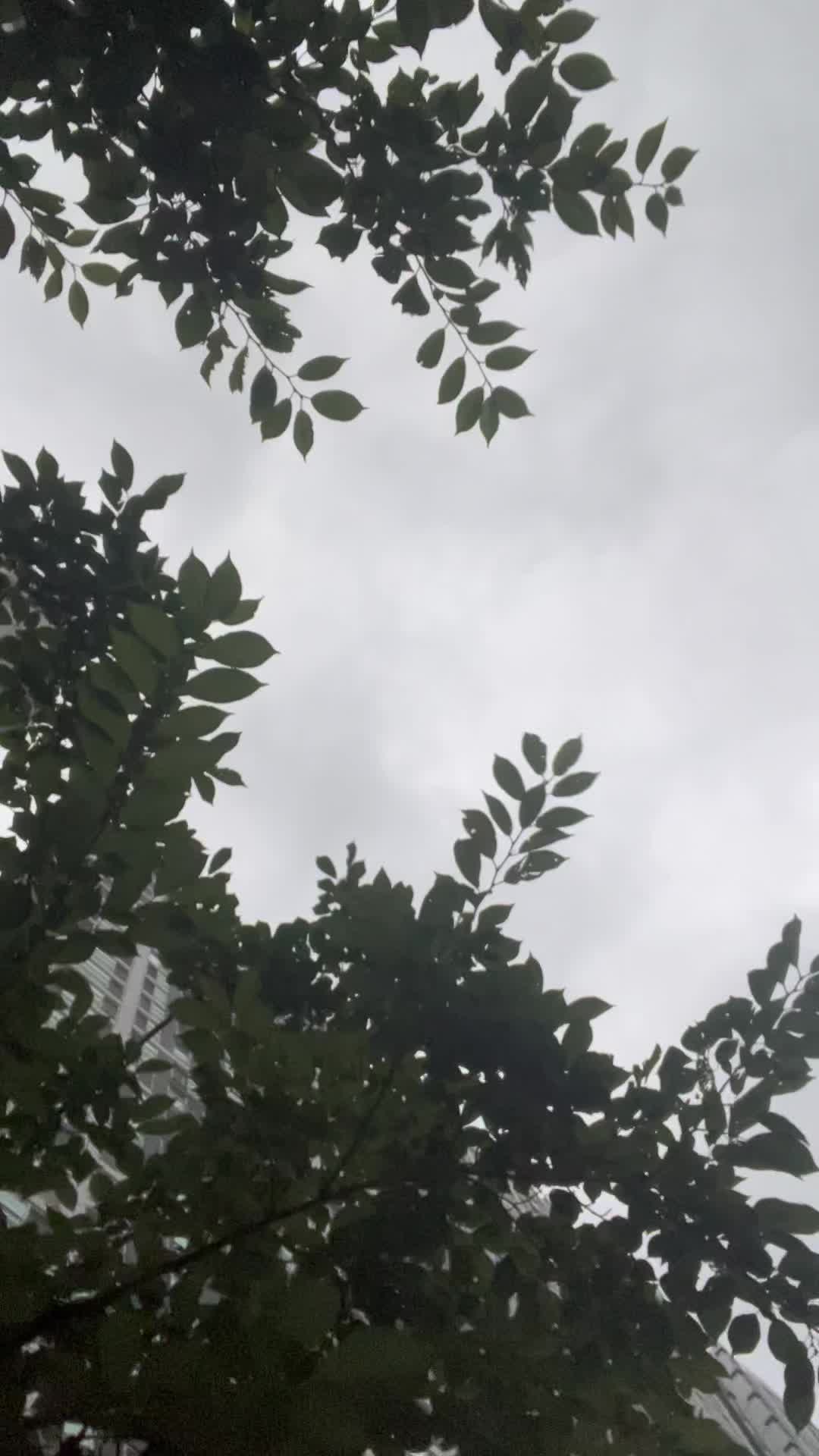 @b