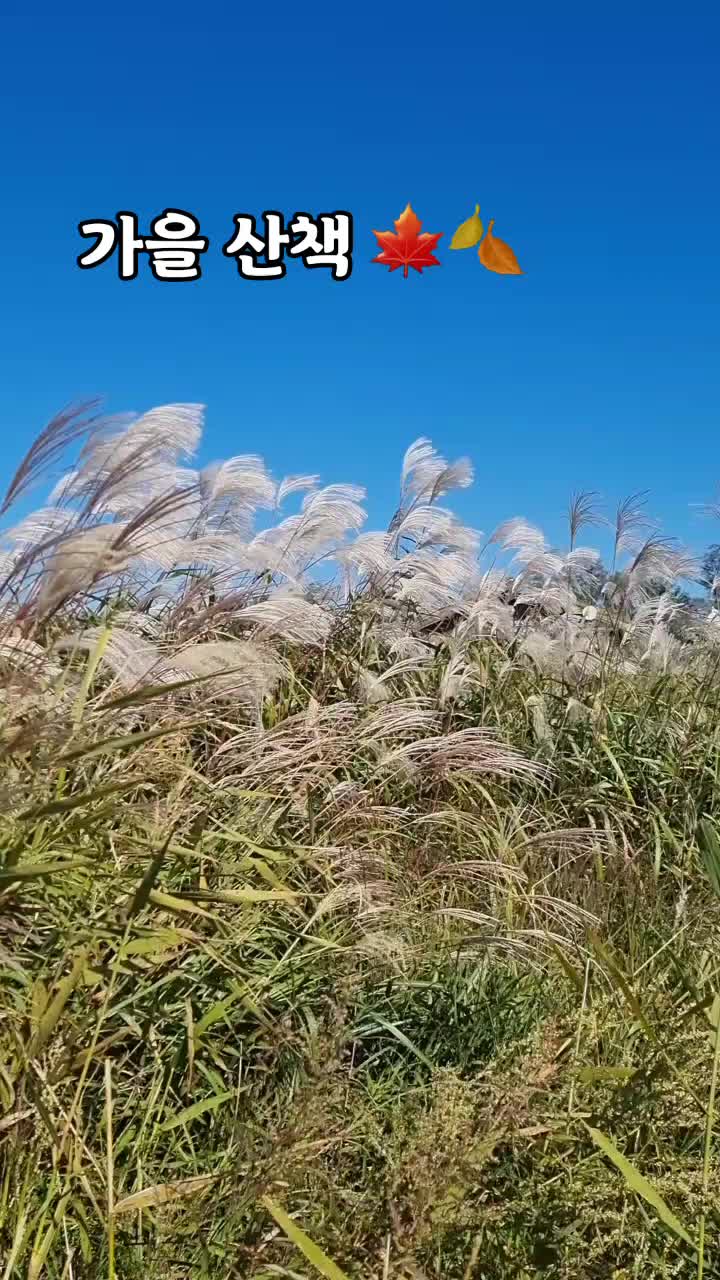@히봉_보로봉봉