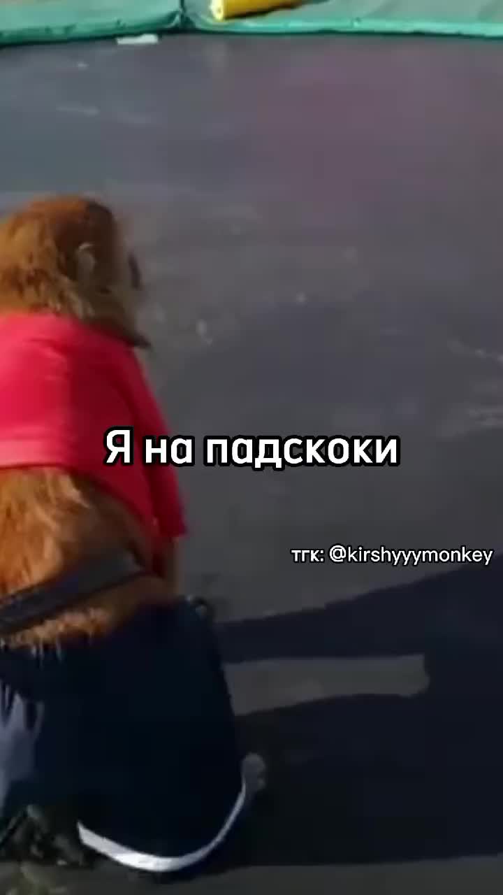 @🍌Киршу Монке🍌