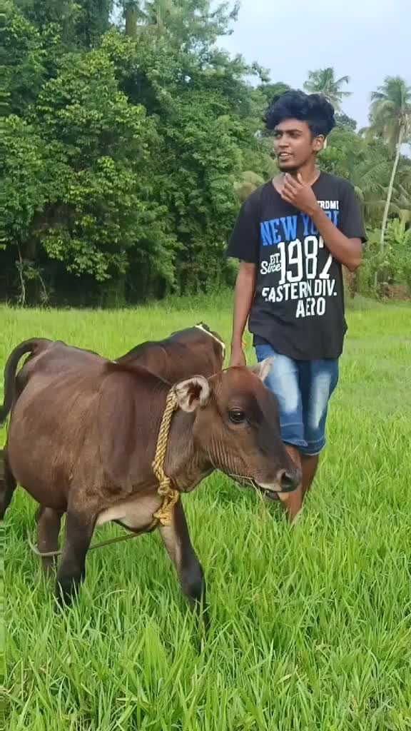 @Aneesh Akz