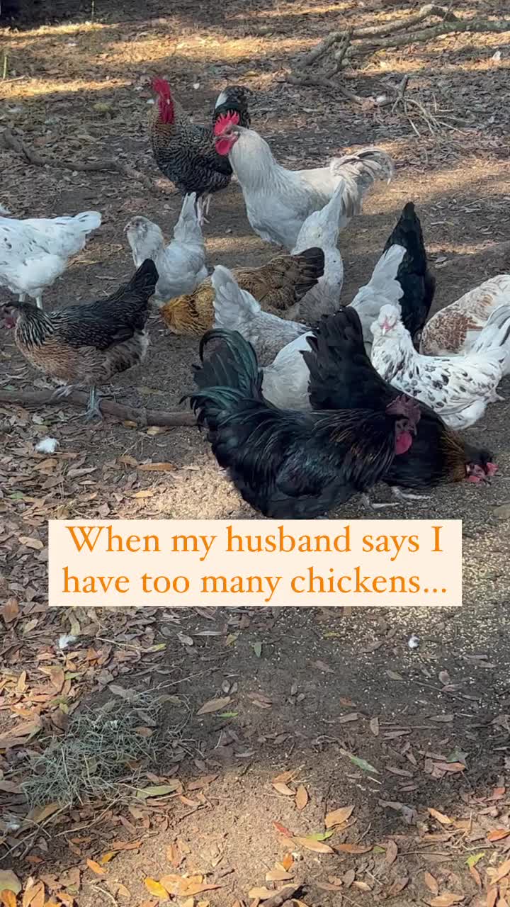 @Suzy | Smoke Show Farms
