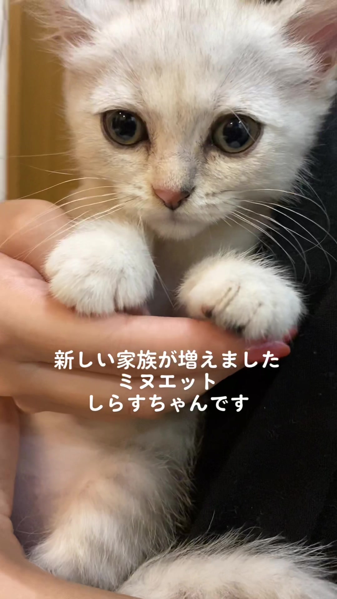 @大輔の日常