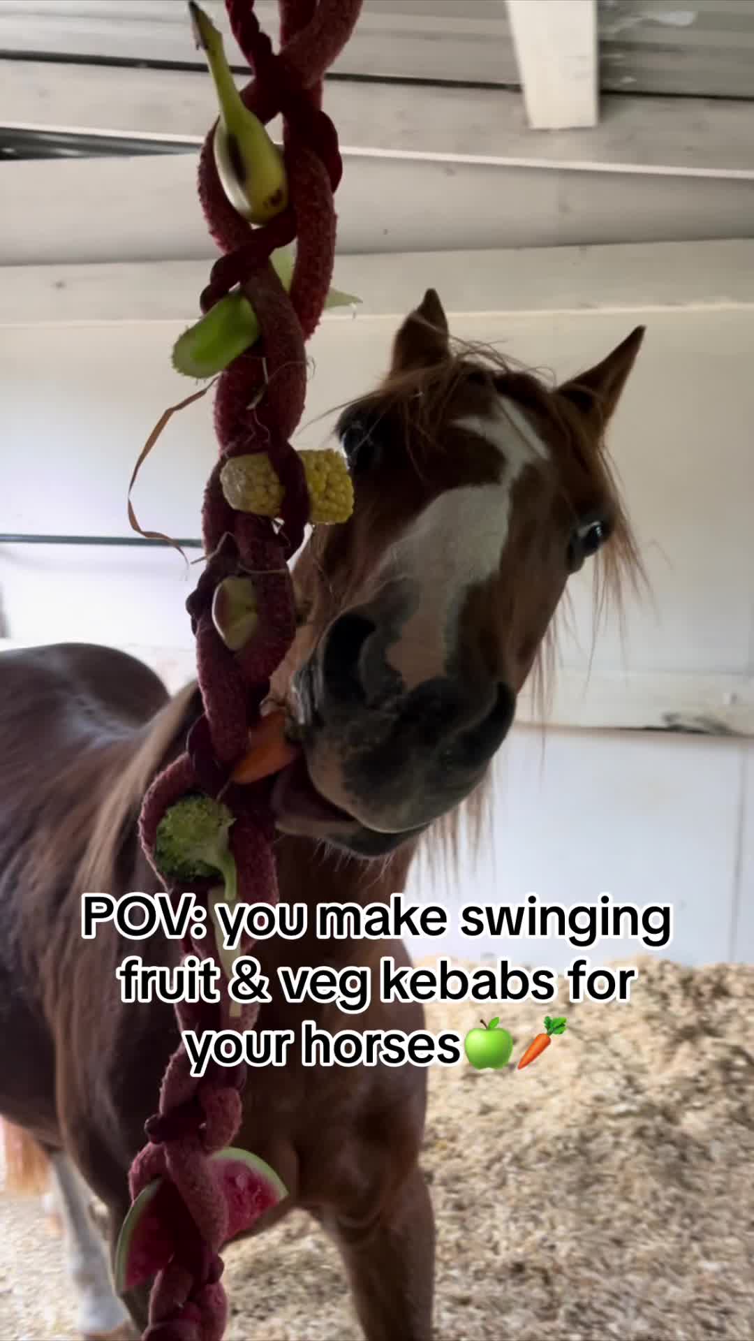 @Charlotte.Equestrian