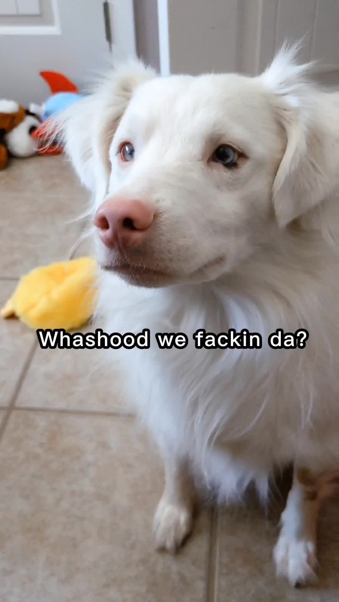 @BasicallyBandit