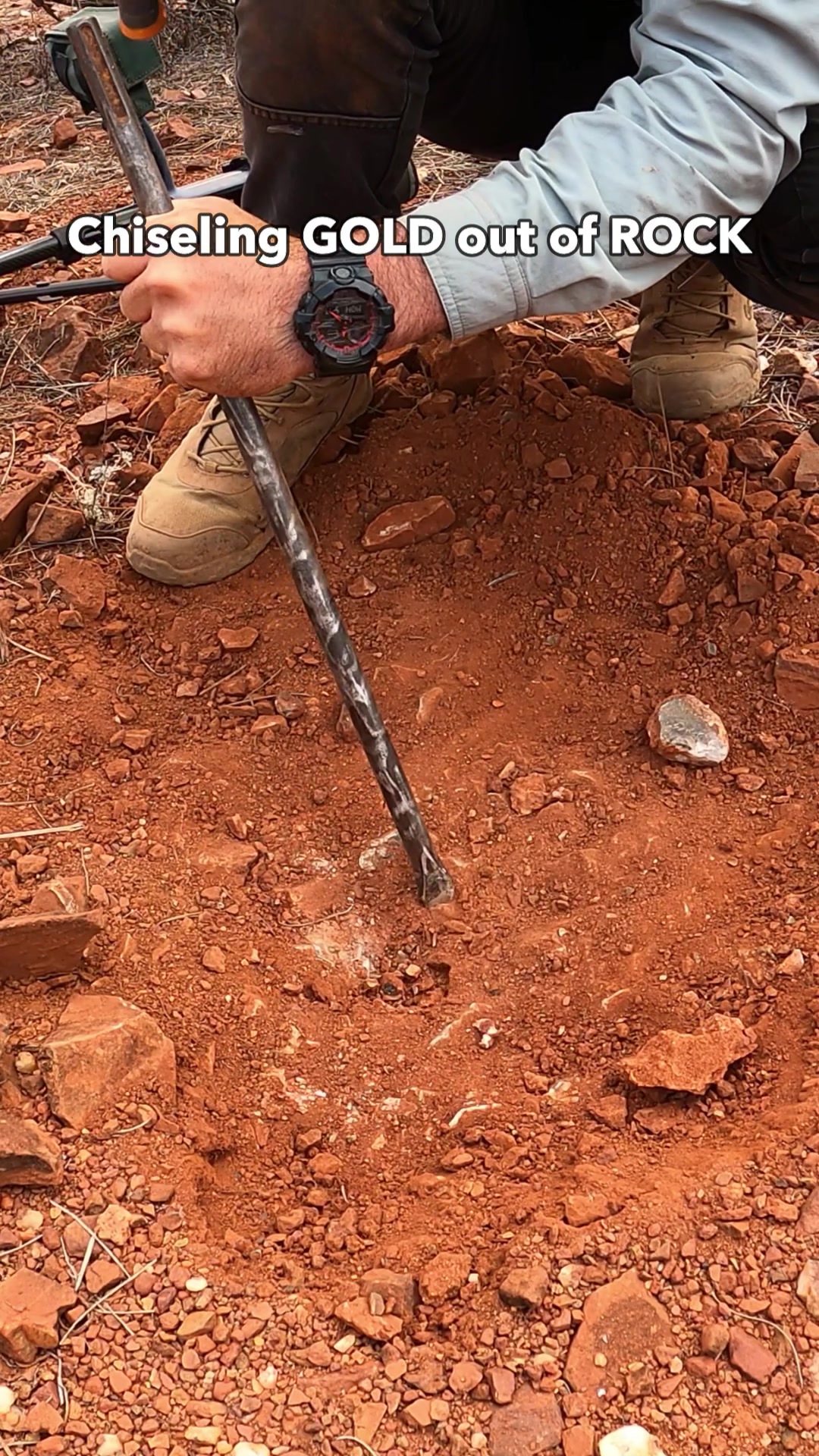 @Savage Prospecting