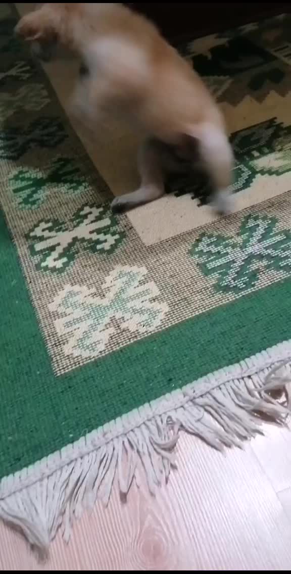 @FurkanK&ouml;se28