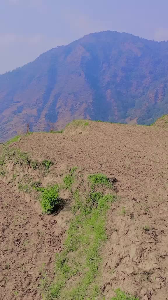 @kalpana sahahi thakuri