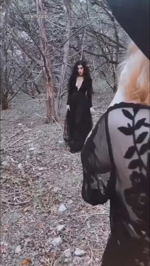 @sunflowerstills