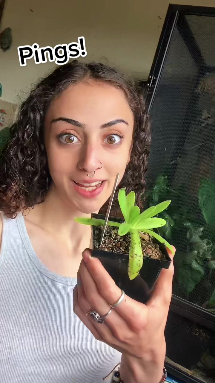 @Soyzilla