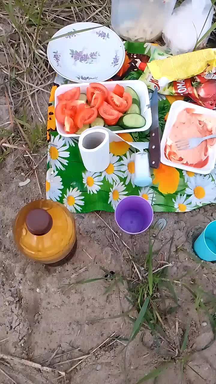 @user231384778767