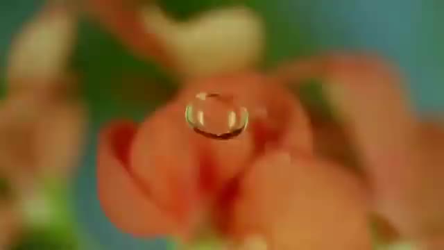 @Call__Me__Dill