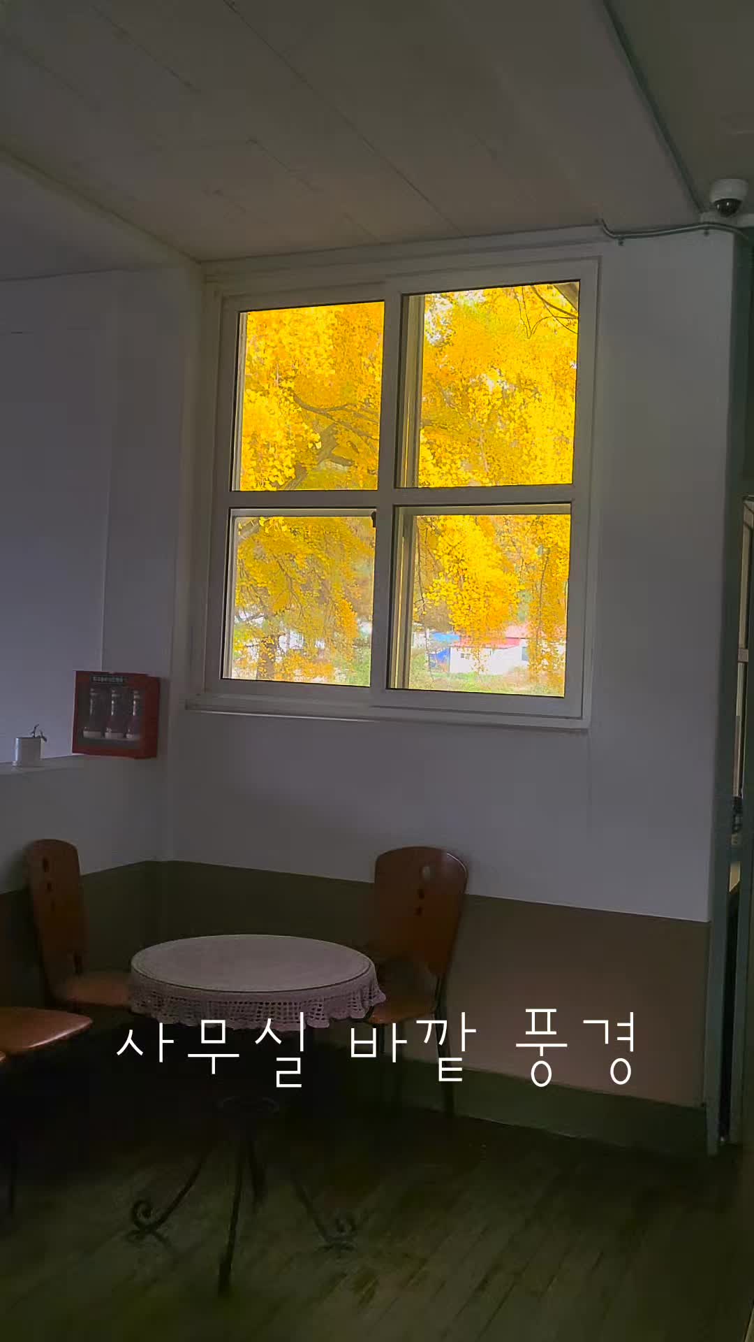 @둥