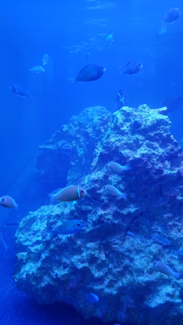 @300gallontank