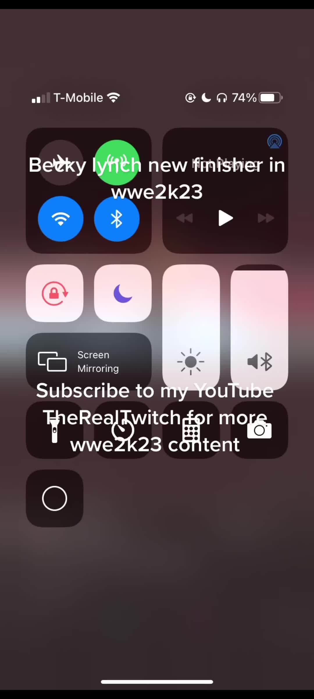 @TheRealTwitch