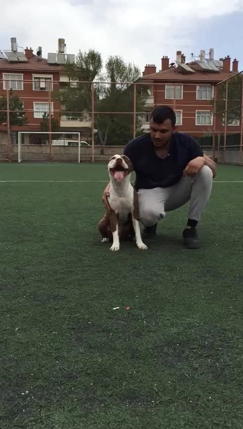 @Çumralı hasan