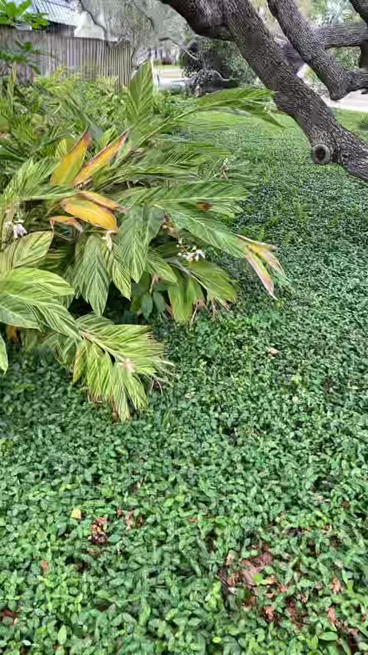@user1141824423068