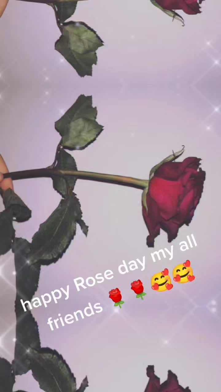 @Queen 👑