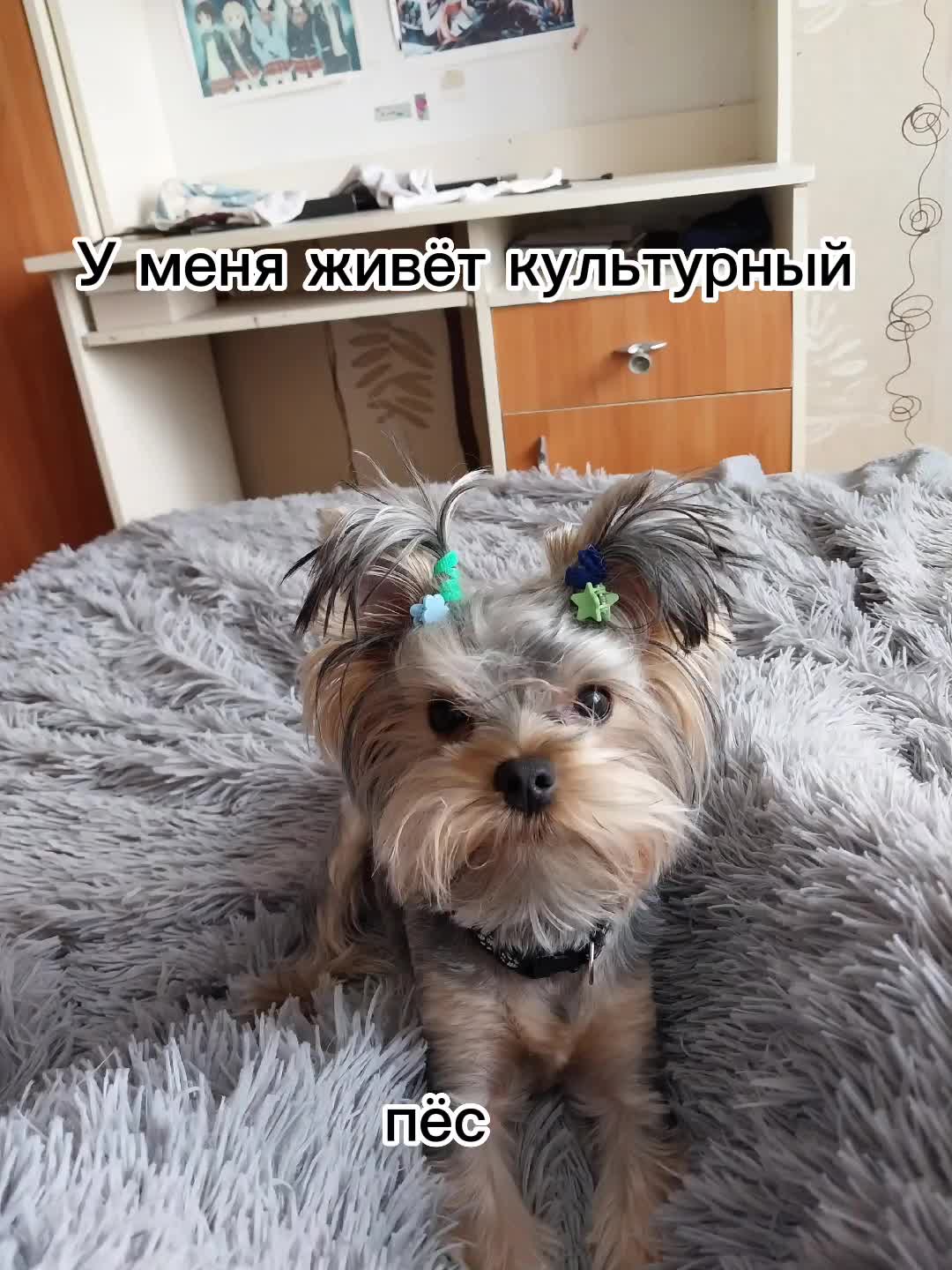 @кукарача