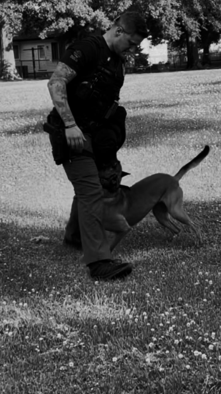 @K9DUCO