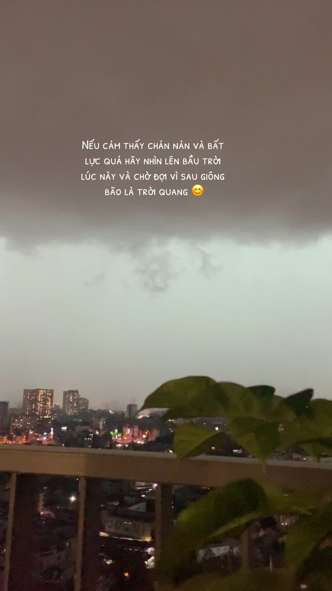@QuynisQ - Mẹ bỉm sống chill 🪴