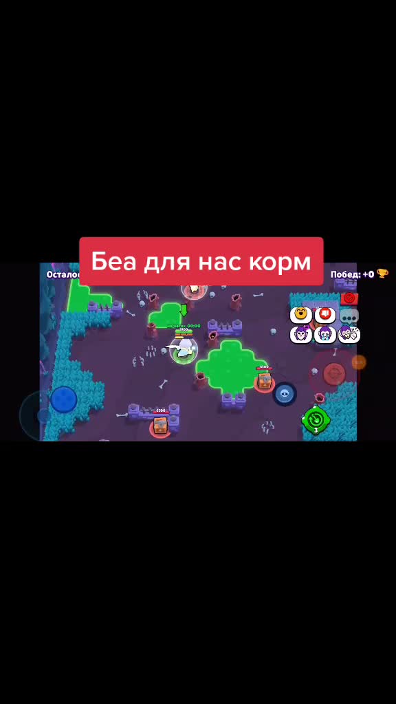 @Бравлик👍