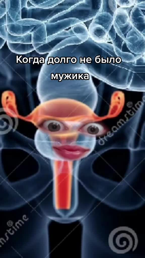 @Белочка
