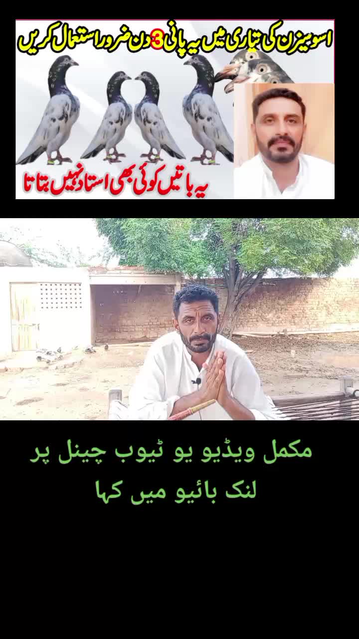 @KABOOTAR PARWAR VLOG