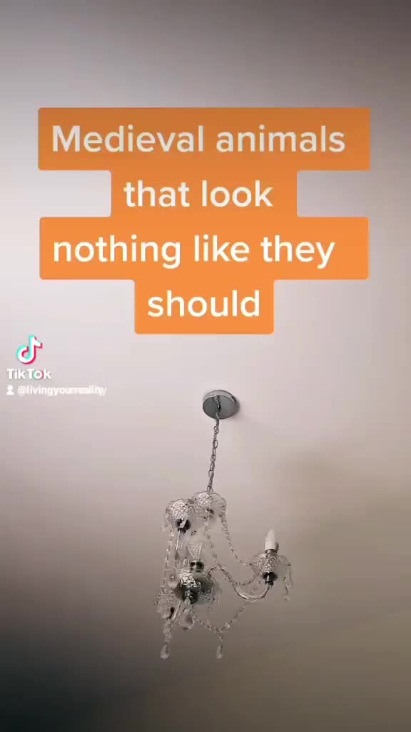 @livingyourreality