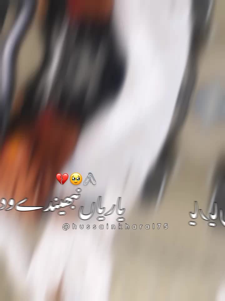 @✨Asif صاحب ❤️🌼