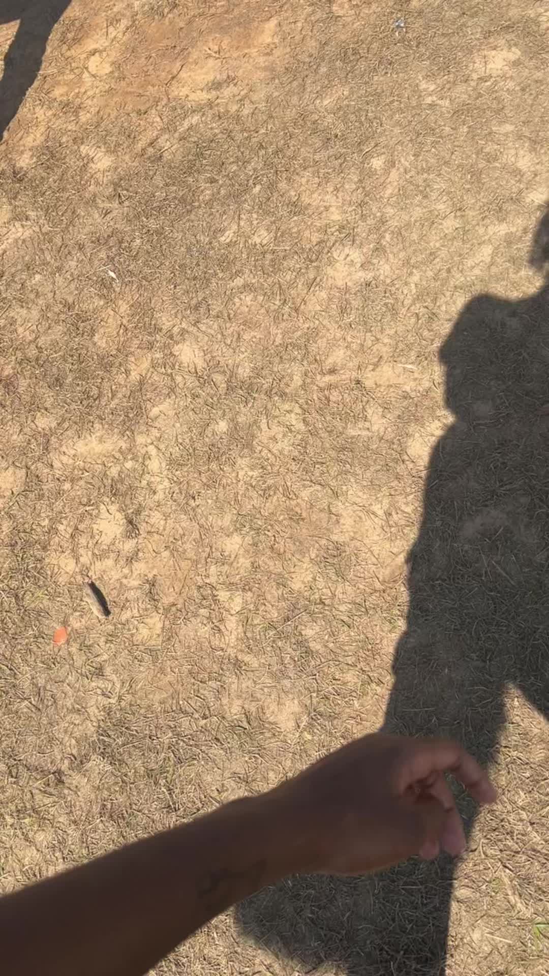 @🍄ₛₚₒᵣₑ🍂