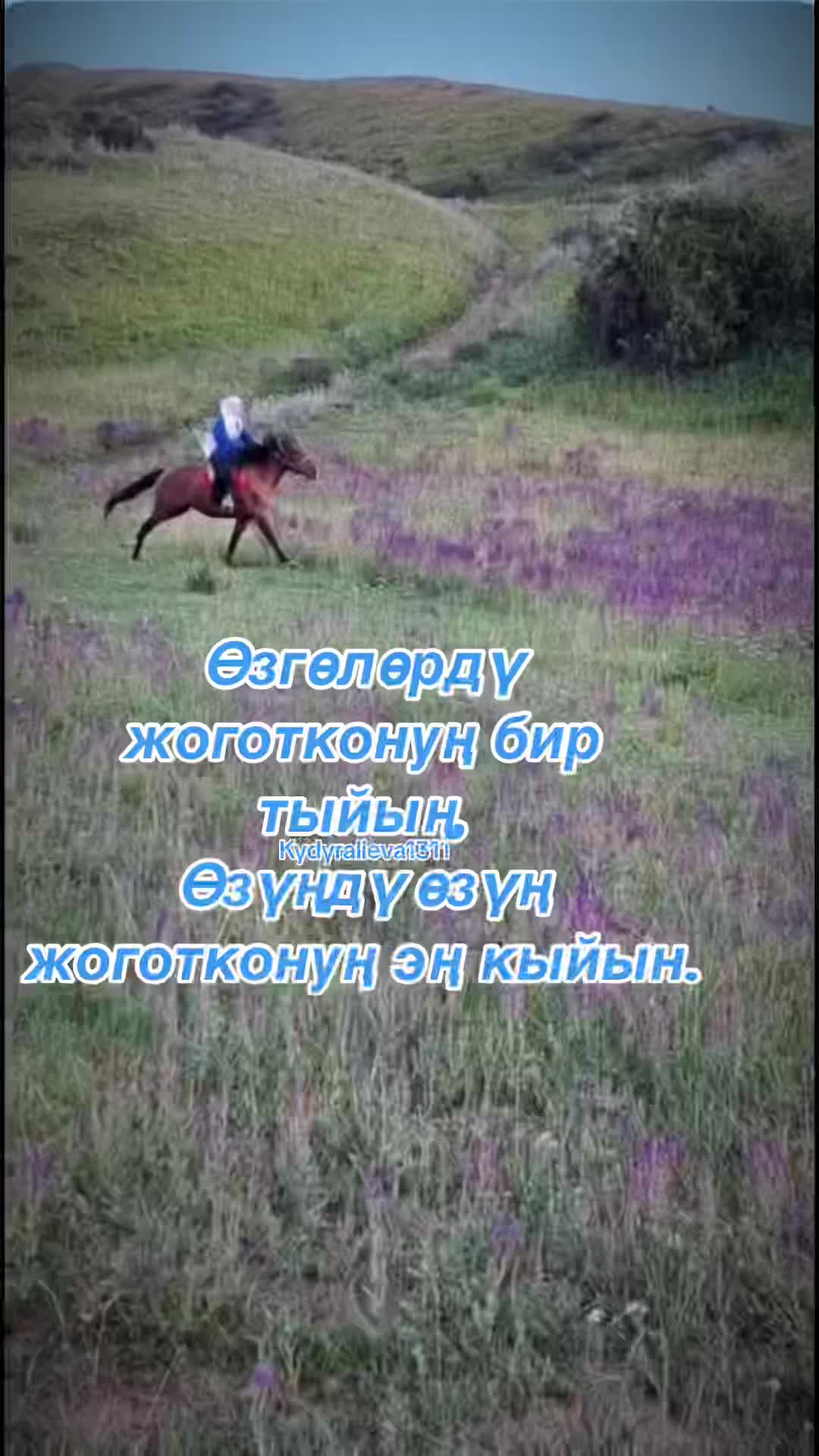 @Цитаталар❤️