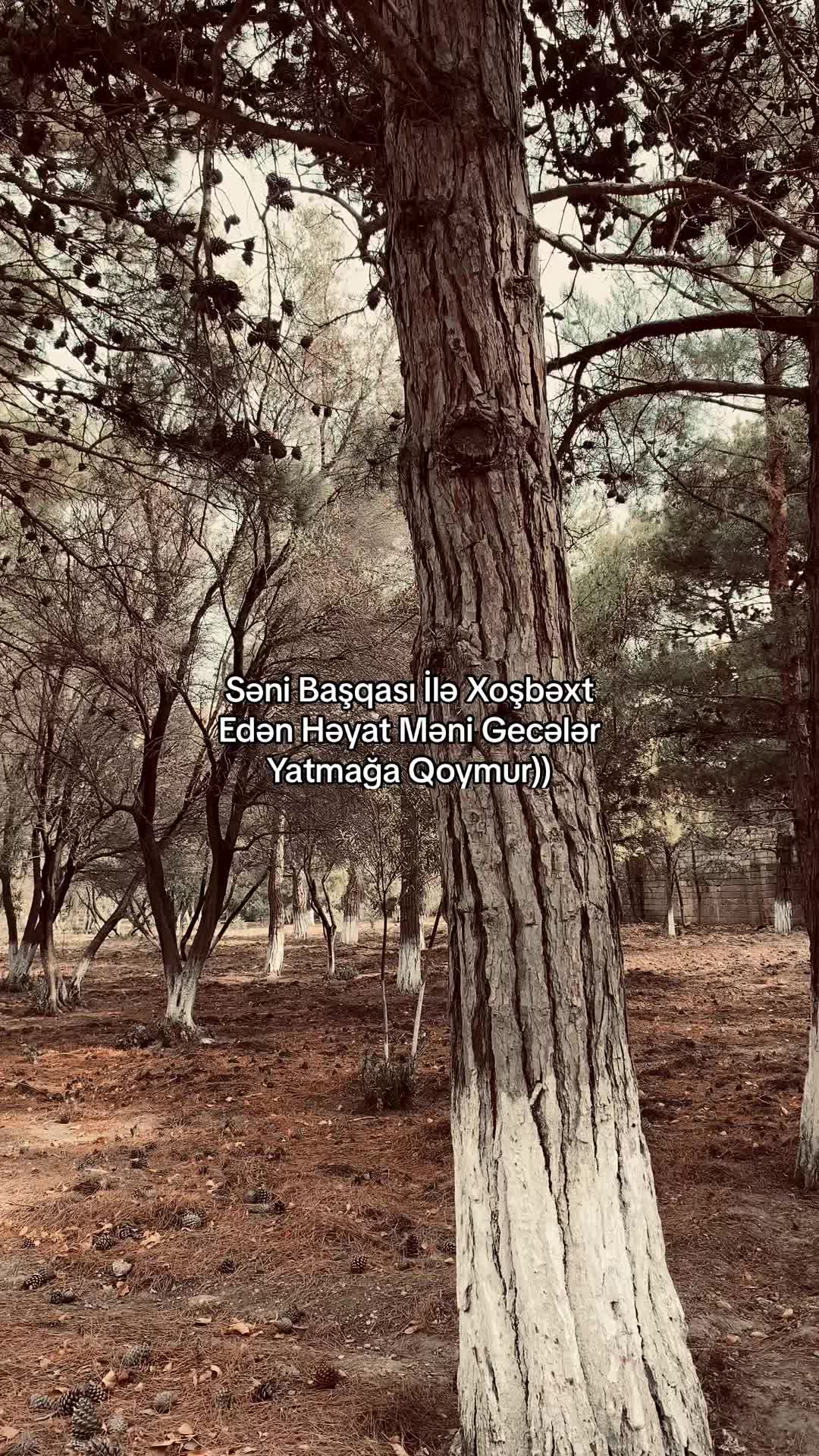 @._SALMANOFW⚡