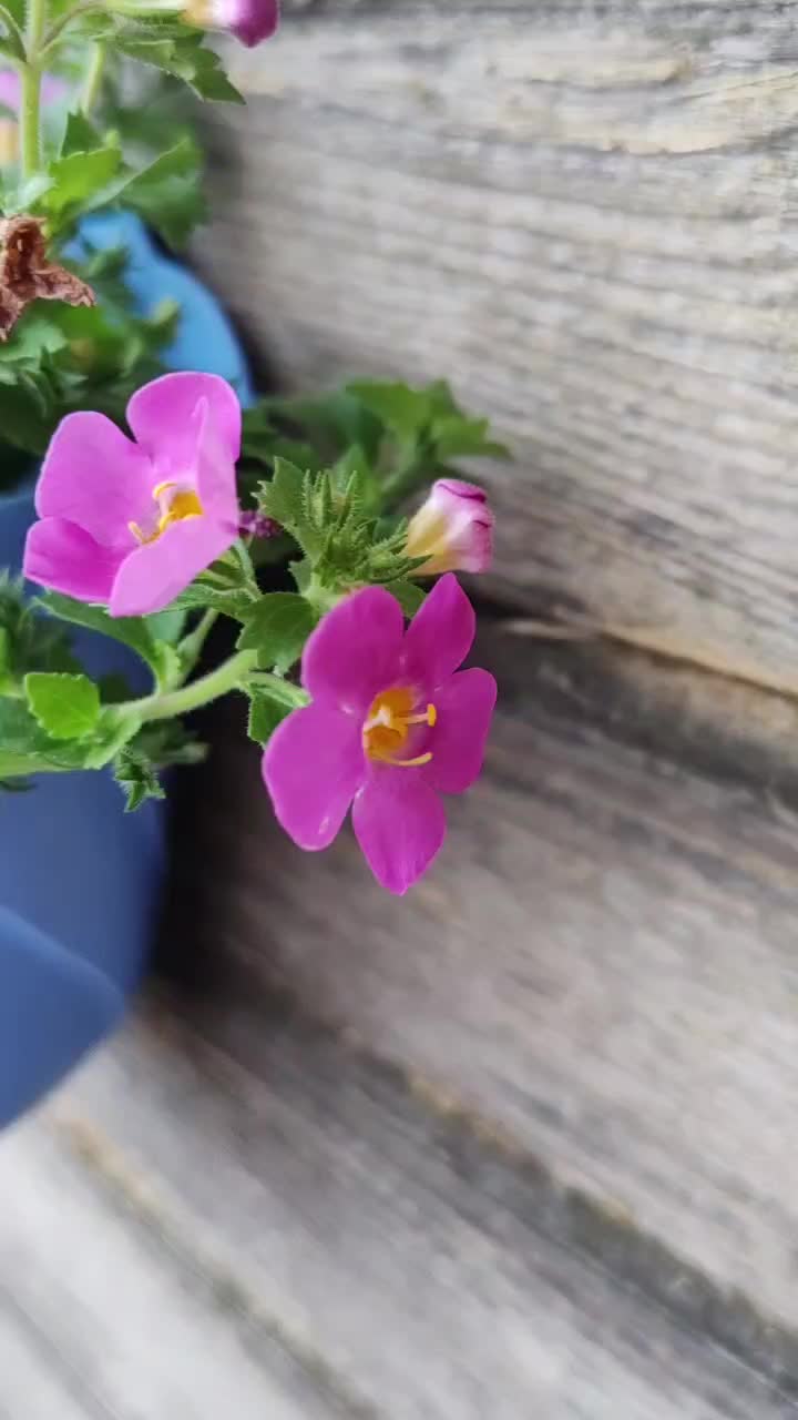@Юлия