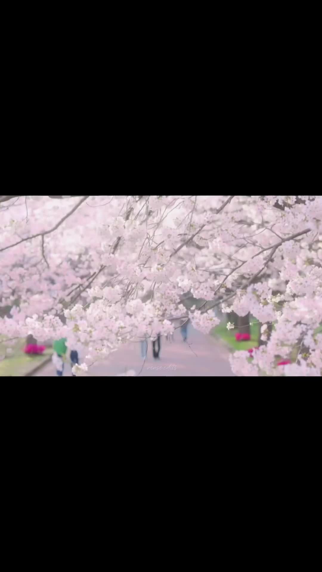 @Sona6071🍀💙