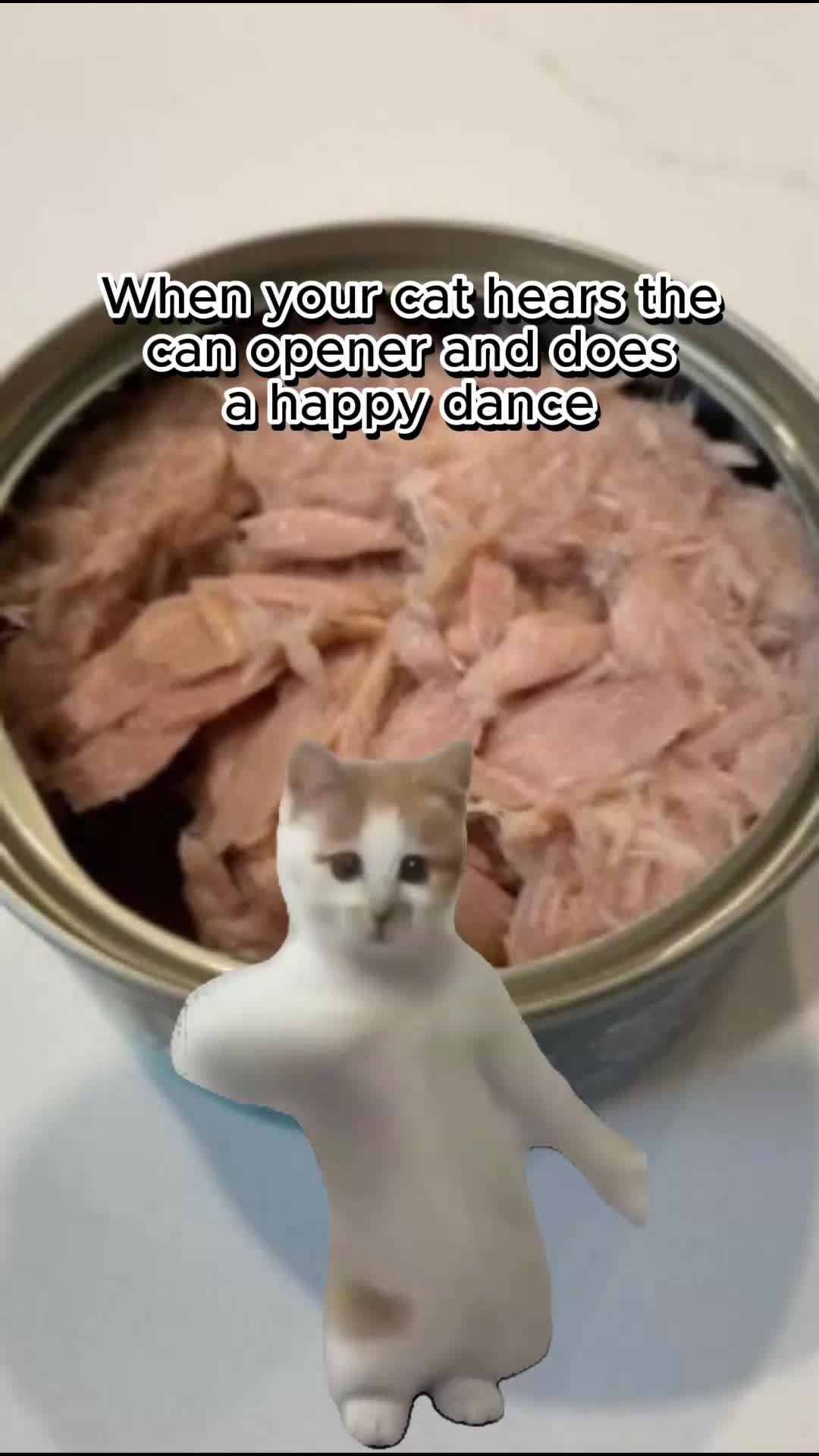 @pawfriends