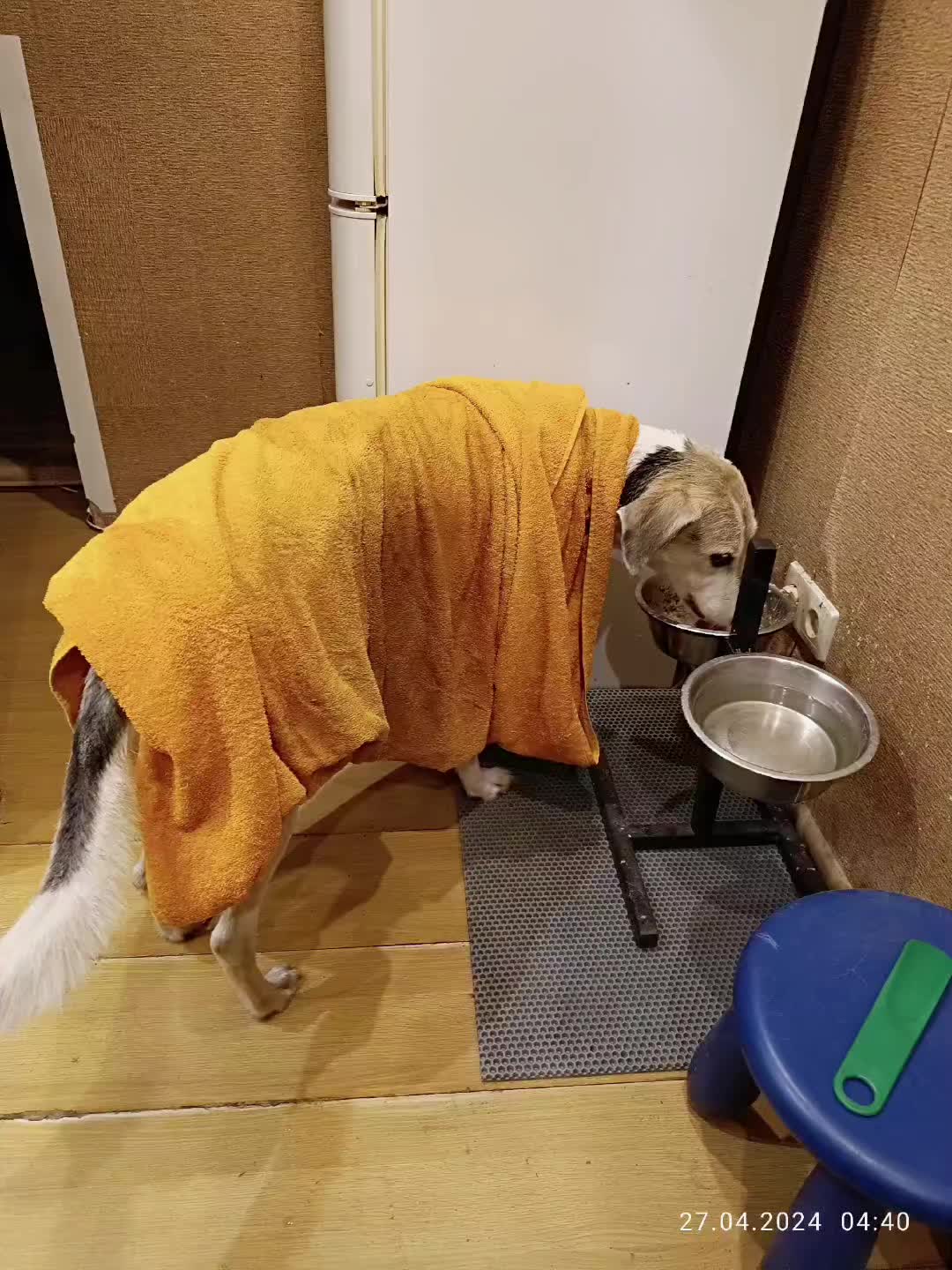 @Кот