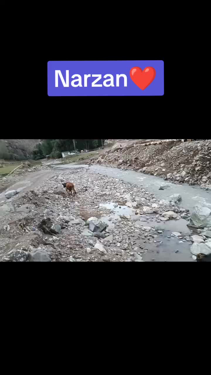 @❤️💙