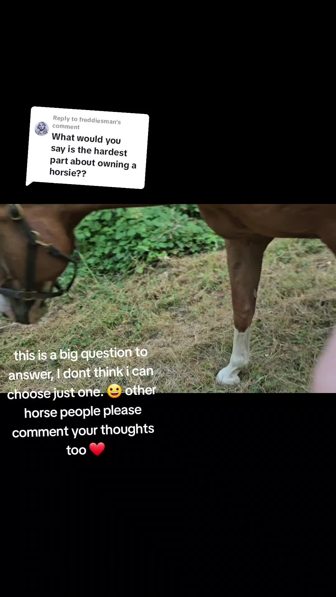 @Xander Bruno Freya Koa & Theo
