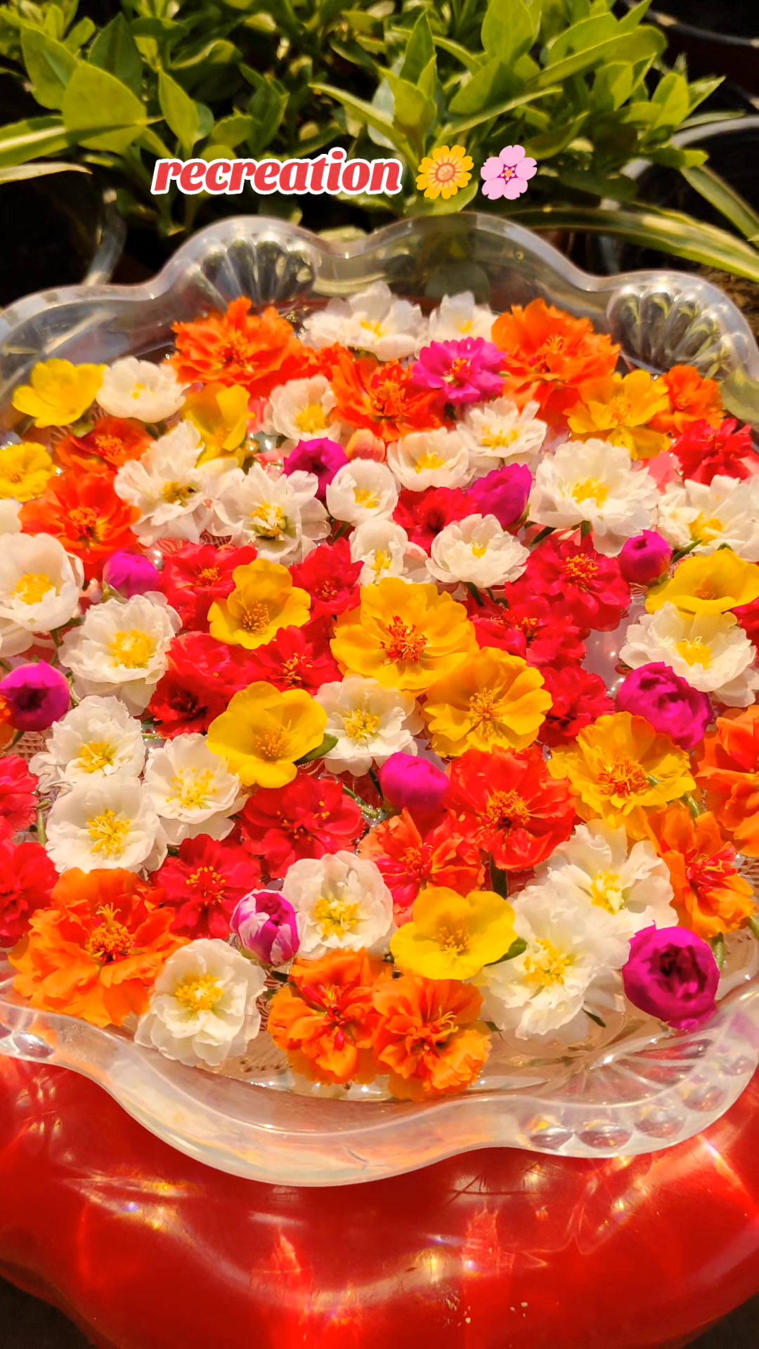 @poonam_shah 🧿🍀