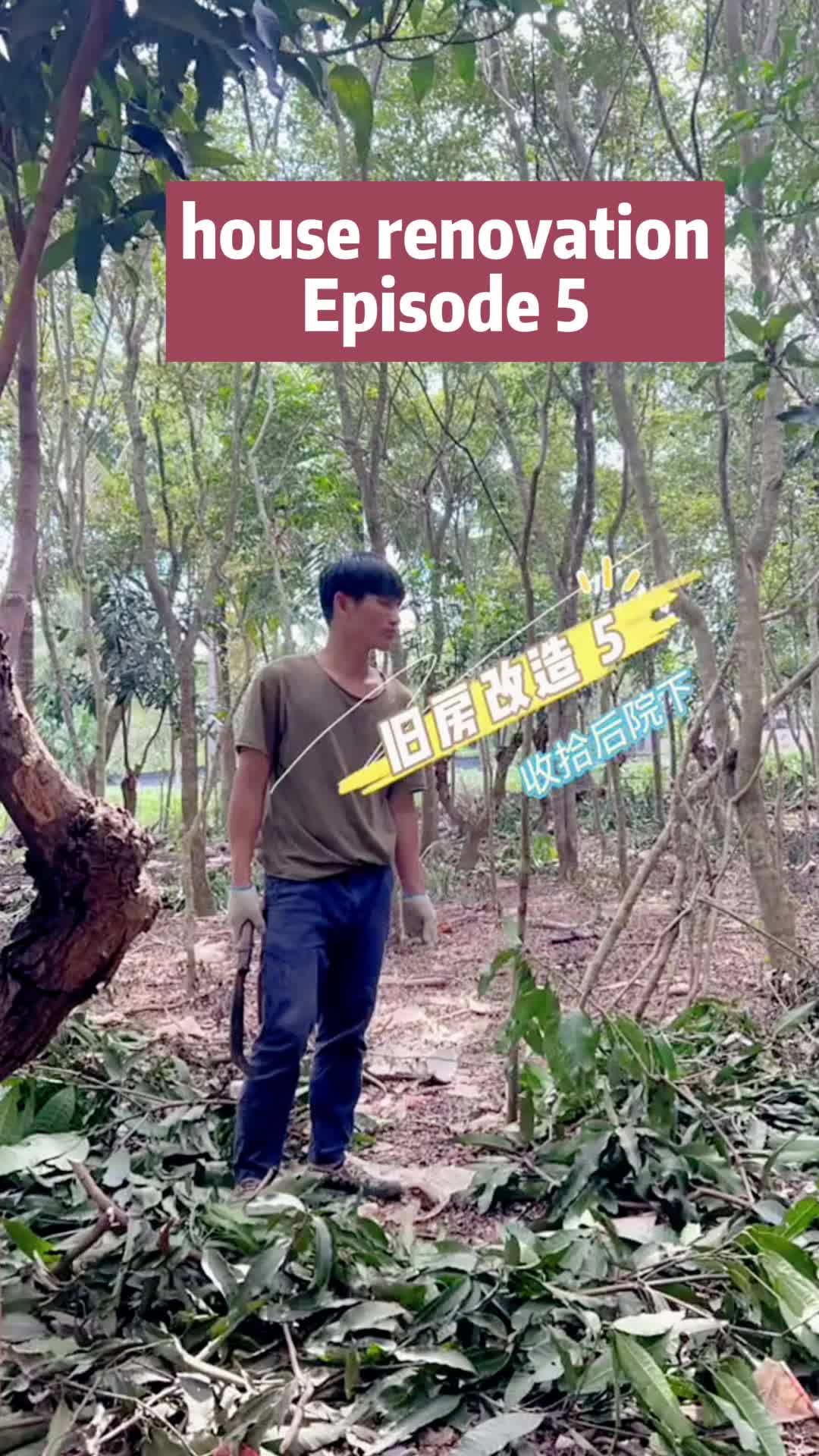 @Housedecoration
