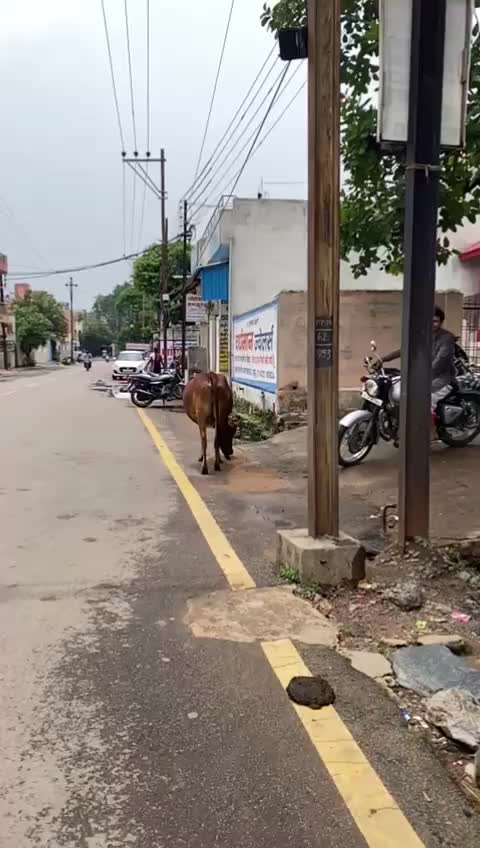 @Ravi Dixit