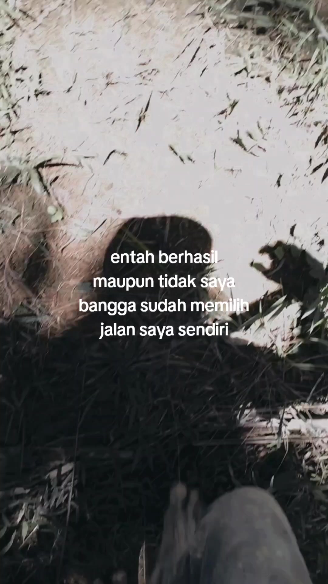 @๐ผ² ๐๐๐๐๐๐๐๐ก
