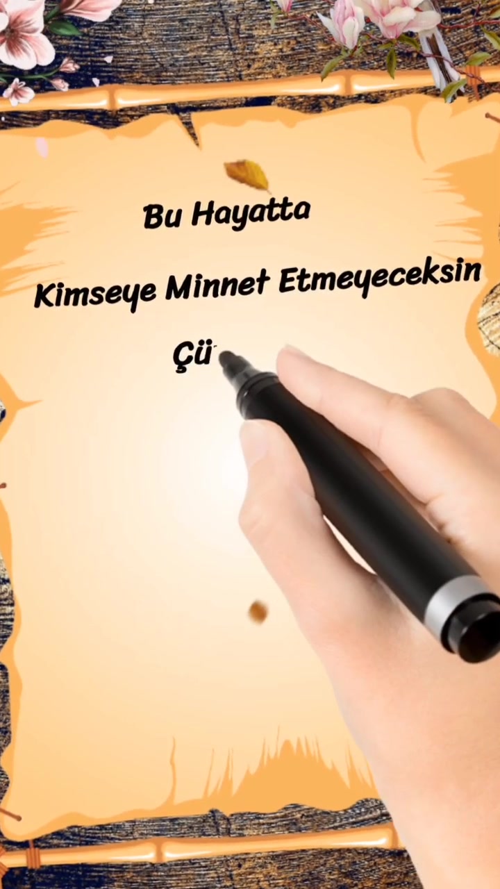 @kelebeğin d&uuml;nyası
