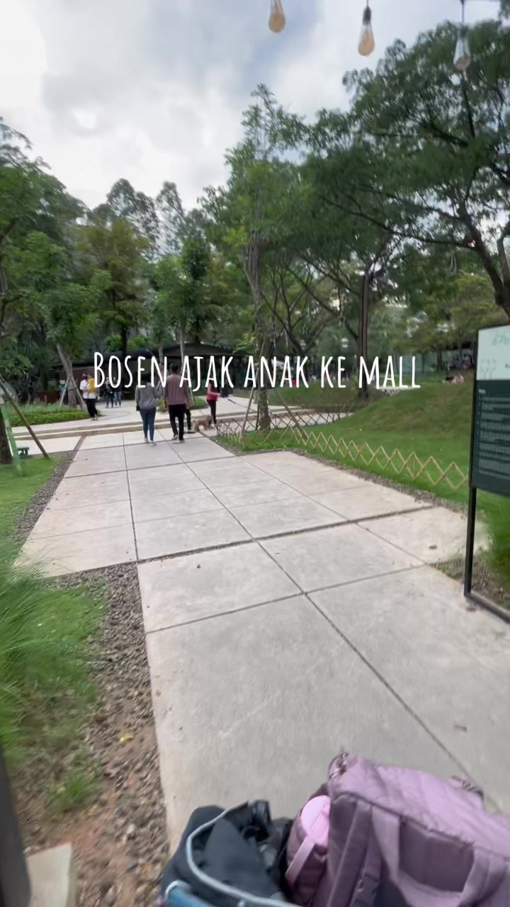 @Aurora Hub