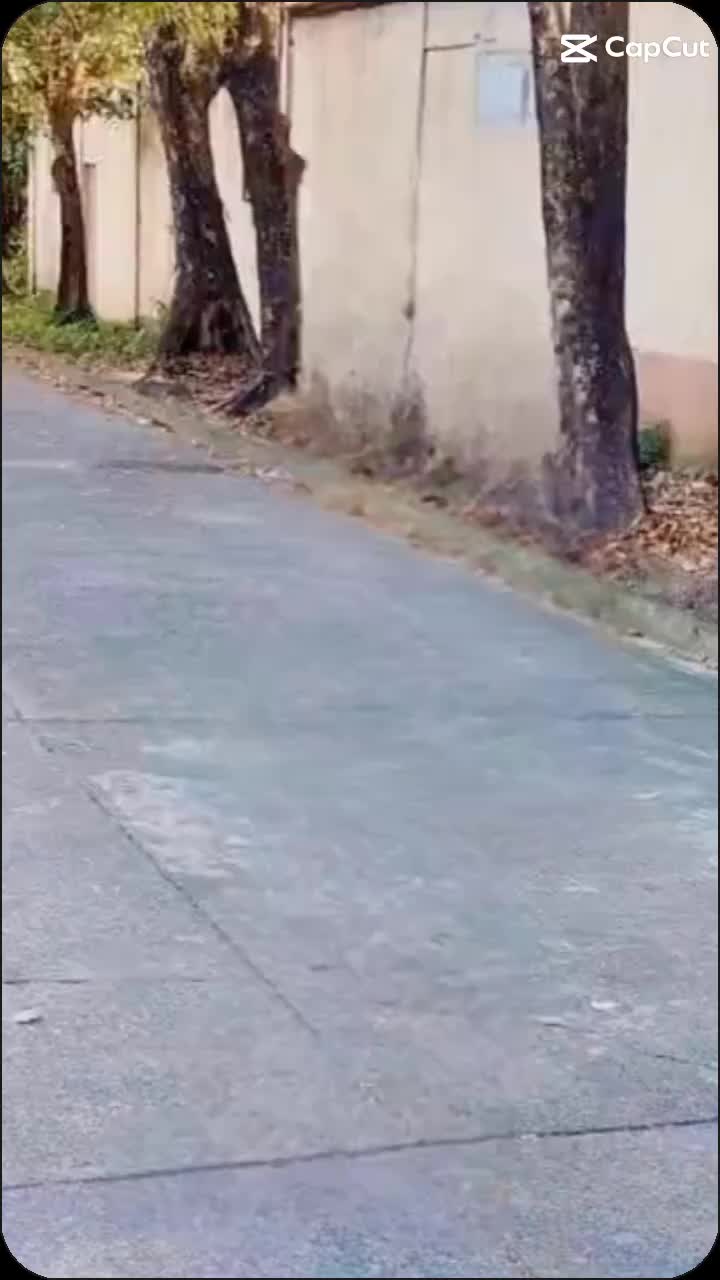 @Revilo Senaba