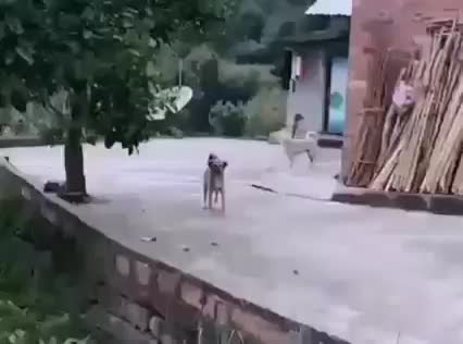 @Kacperek Sokrat