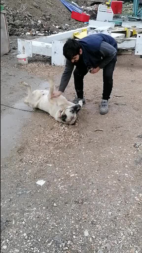 @FurkanKöse28