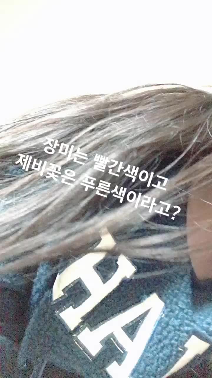 @보노보노