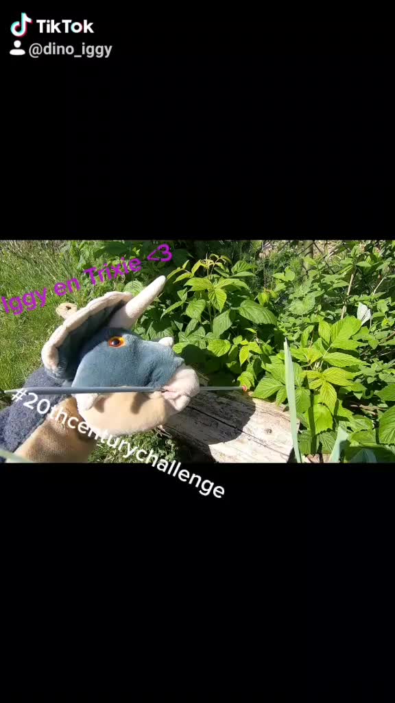 @iggy