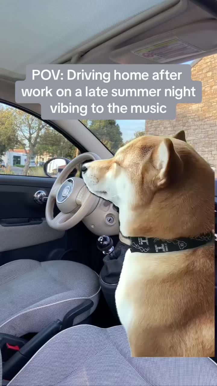 @Amber